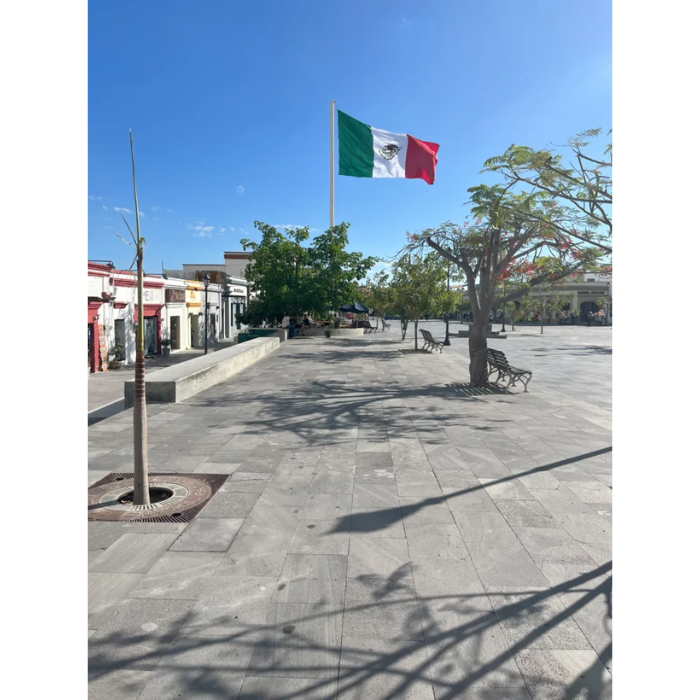 cabo san lucas square